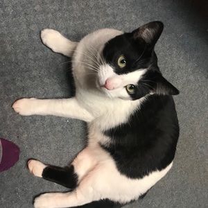 Meet your Posher, Cassandra